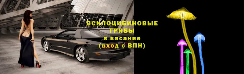 как найти   Байкальск  дарк нет формула  Галлюциногенные грибы прущие грибы 